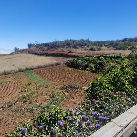 Finca El Cercadillo Gáldar Exterior foto